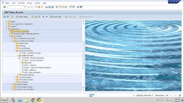 SAP CO-assessment cycle  (S/4HANA)