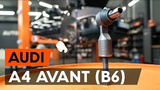 Сarte service A4 B6/B7 Cabrio (8H7, 8HE) 2.5 TDI personalizata pentru fiecare - gratuit descărca