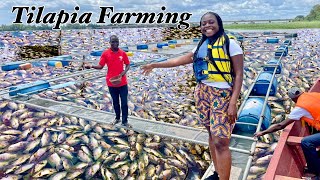 Tilapia Farming In Ghana’s Volta Lake|| Villa Awoyo Volta Region