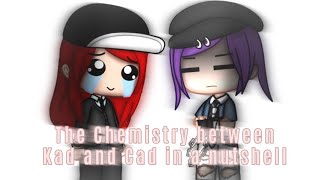 🌰 Cad and Kad’s Chemistry in a Nutshell 🌰