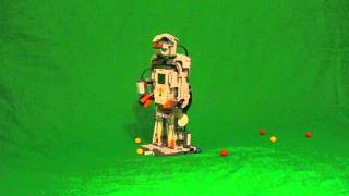 Robot walks for the International Ivy Summer Program