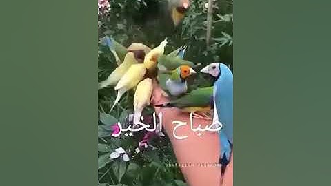تلاوة خاشعة للشيخ خالد الجليل ان المتقين في جنات وعيون