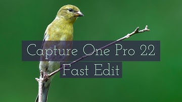 How to edit a RAW Photo in Capture One Pro 22 | Fast Intro Edit