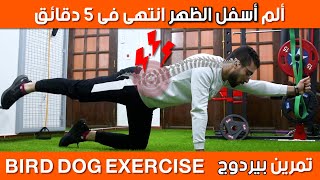 ودع الم الظهر مع التمرين المتين لظهر حديد | Birddog exercise