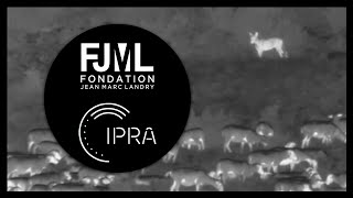 CanOvis / IPRA-FJML - teaser 2019