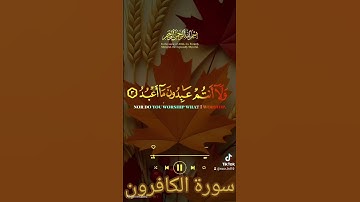 سورة الكافرون #اكسبلور #القزابري #المنذر #دويتو #duet #تيك_ت #لايك #صباح_الخير #المصحف #حالات_واتس