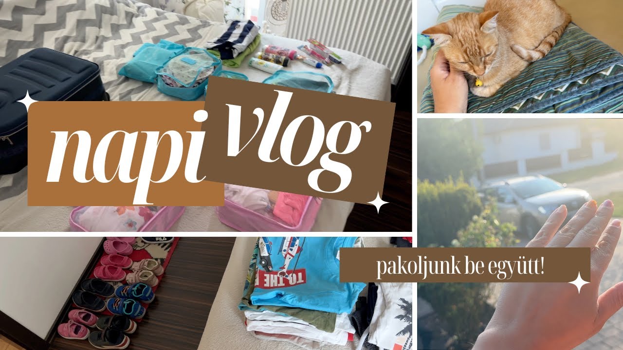 napiVlog - Pakoljunk be a nyaralásra! 🧳 - A cica diagnózisa 😿