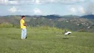 Trex 600 inverted