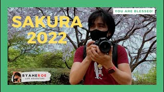 Sakura 2022 Tokyo Japan Vlog Filipino Roel Maraya