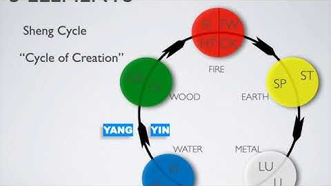 Session 7 Inro 5 element