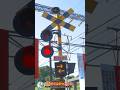 【踏切 電車】なにが通るかな???【ふみきりショート動画260】 #shorts