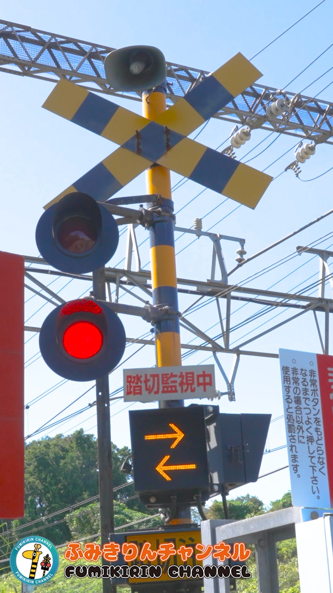 踏切 電車】なにが通るかな？？？【ふみきりショート動画260】 #shorts