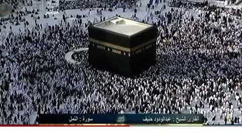 وكان في المدينة تسعة رهط / سورة النمل - عبدالودود حنيف