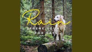 Harmonic Rain Pet Harmony