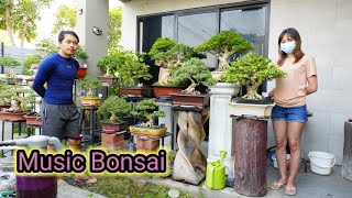 Bonsai i am k Music Bonsai มิวสิค บอนไซ