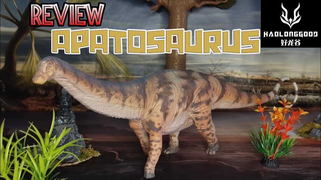 UNBOXING Y REVIEW APATOSAURUS DINOSAURIOS!!! \\ HAOLONGGOOD 2023