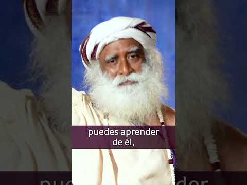 ¿Debes aprender de