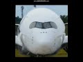 🤣 AIRBUS A350 SINGS "7TH ELEMENT" SONG MEME 🎤✈️ | HILARIOUS AVIATION PARODY 🔥