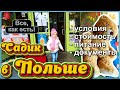 САДИК В ПОЛЬШЕ. КАК УСТРОИТЬ РЕБЕНКА В САДИК В ПОЛЬШЕ. УСЛОВИЯ, ПИТАНИЕ. ЦЕНА. ДОКУМЕНТЫ.