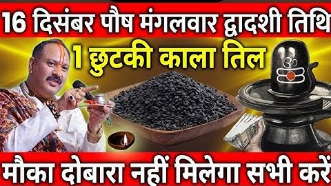 16 दिसंबर पौष मंगलवार द्वादशी तिथि के दिन 1 छुटकी काला तिल वाला उपाय जरुर करे || Pradeep Ji Mishra 