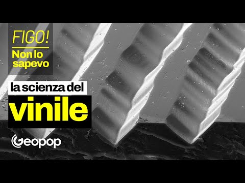 Video: Come faccio a sapere se i miei dischi in vinile sono preziosi?