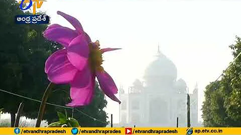 Trump to Visit Taj Mahal with Family | PM Modi Unlikely to Accompany