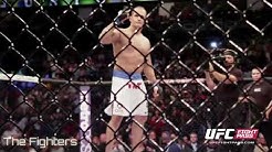 UFC: Cain Velasquez VS Dos Santos III. Fight Flashback.