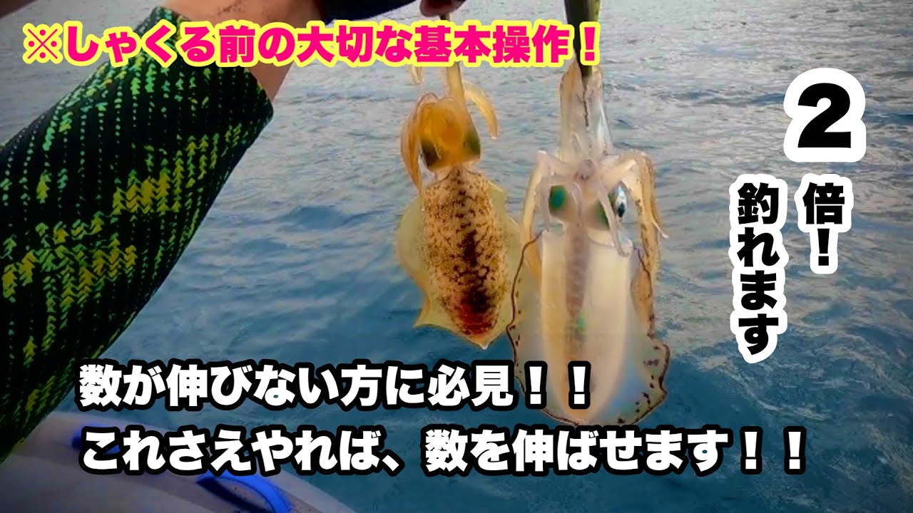 アオリイカティップラン🦑数出しテクニックとは…