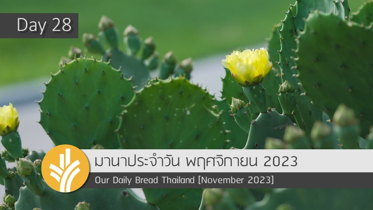 ทักษะแห่งความเมตตา / The Skill of Compassion