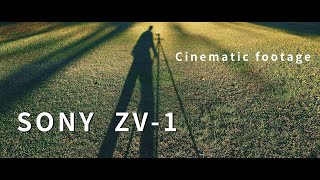 ' A DAY '  cinematic  SONY ZV1 4K