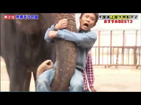 遠藤のテロップにならない暴言 #ガキ使