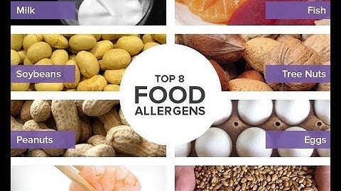 The "Big 8" Food Allergens