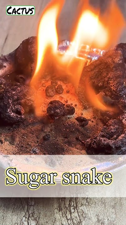How To Grow A Carbon Sugar Snake How to make Carbon Sugar Snake 🐍 - YouTube