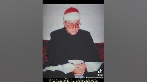 الشيخ شعبان الصياد- سورة الأحزاب (٤٨)