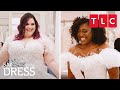 Brides embracing their curves  say yes to the dress  tlc