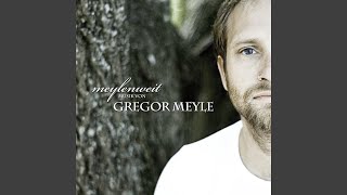 Video thumbnail of "Gregor Meyle - Finde Dein Glück"