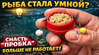 Почему «Соска» перестала ловить? Тест на карасе