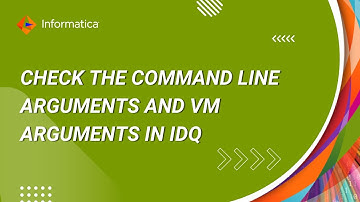 How to Check the Command Line Arguments and VM Arguments Picked by the Developer Client Tool in IDQ
