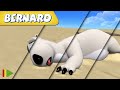 🐻‍❄️ BERNARD  | Collection 24 | Full Episodes | VIDEOS and CARTOONS FOR KIDS