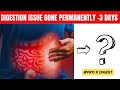 Digestion Problem Solution: The Ultimate Digestive Weapon Pro X Digest Explained| #proxdigestreview