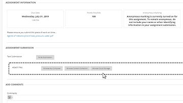 Blackboard Ultra at the UoW Submitting via Blackboard Assignment (Student)