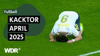 Thumbnail for Wahl zum Kacktor des Monats April | ZwWdF | WDR
