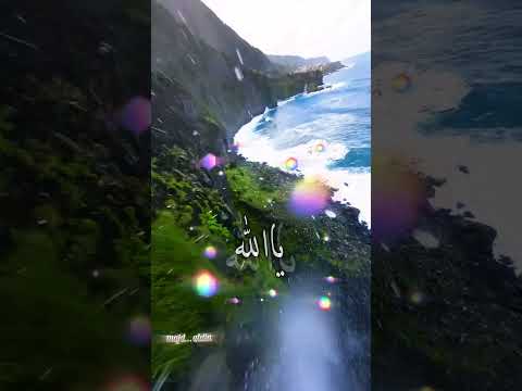 ياالله هم اللي فينا مكفينا 