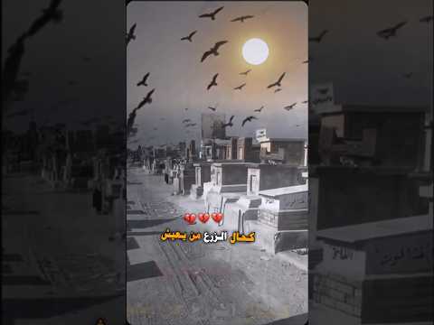 وجودج جان كل الخير يماي