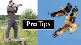 How to Photograph Birds in Flight: 5 Extra Tips with Paul Miguel Photography