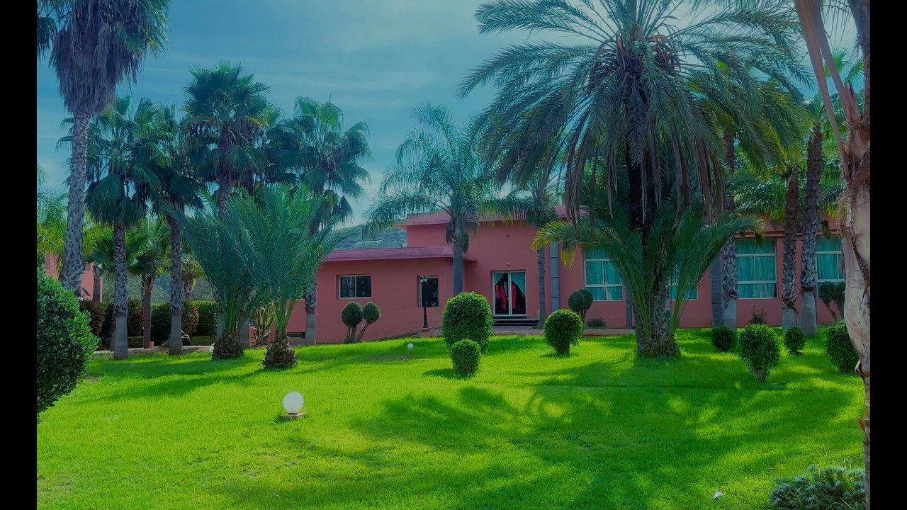 هاد المنطقة بين ضاية الرومي وتيفلت…جنة صغيرة فوق الأرض! خصكم تزوروها ضروري!