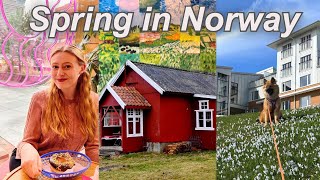 March in Norway Vlog | American Girl In Norway