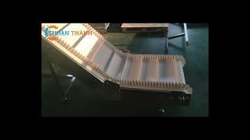 Băng tải pvc tai bèo