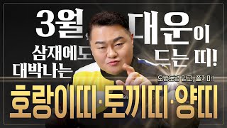 2025년 띠별운세 ✨3월 운세✨삼재라도 대박나는 대운!! 이보다 좋을 수 있냐고요!! 호랑이띠 토끼띠 양띠…