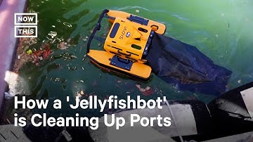 Jellyfishbot by IADYS: the Tiny Bot Helps Clean Up the Sea